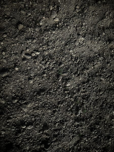 Meu temperamento é melancólico(a), e agora? Terra, elemento do melancólico (Avinash Kumar)