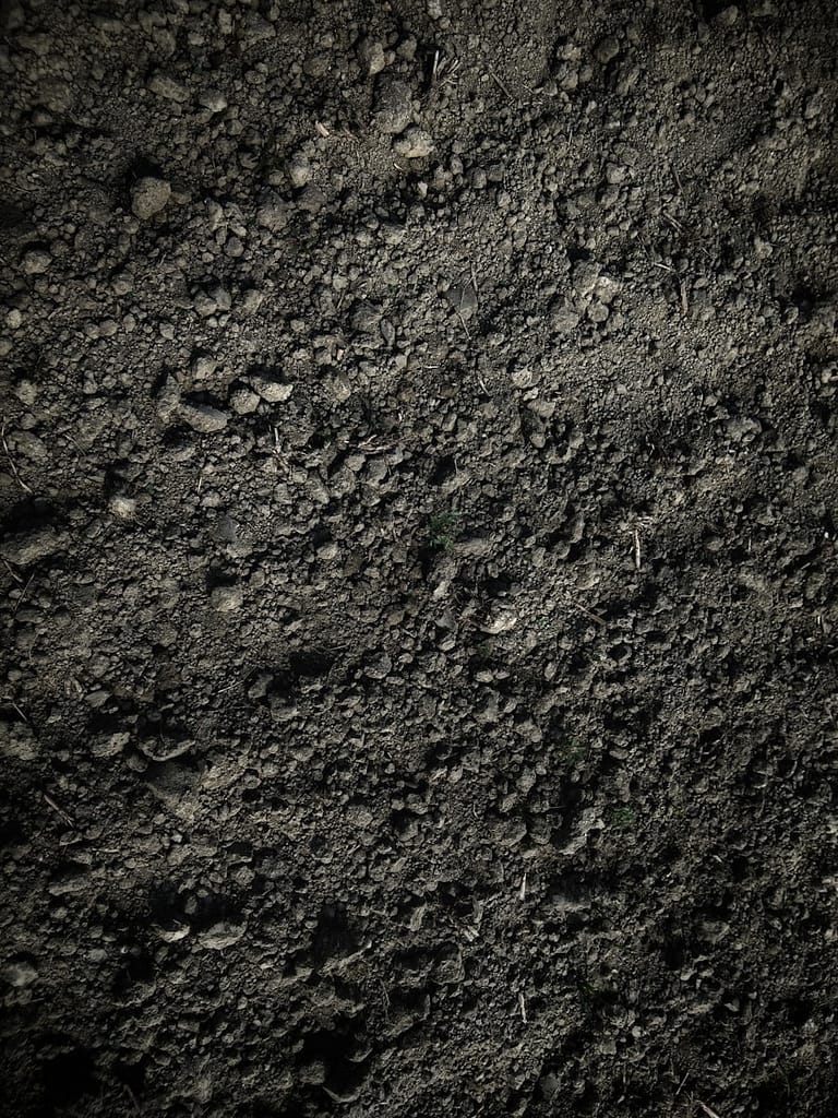 Meu temperamento é melancólico(a), e agora? Terra, elemento do melancólico (Avinash Kumar)