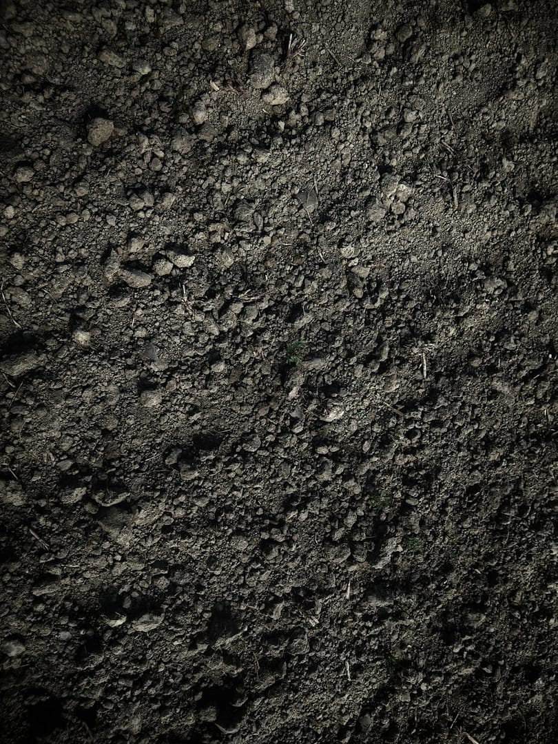 Meu temperamento é melancólico(a), e agora? Terra, elemento do melancólico (Avinash Kumar)